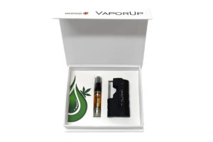 Magnetic closure product rigid box with cardboard insert